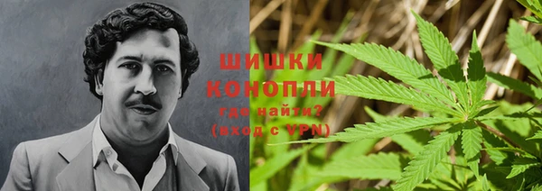 стафф Верхний Тагил