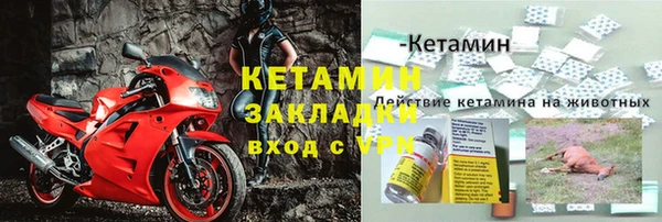 стафф Верхний Тагил