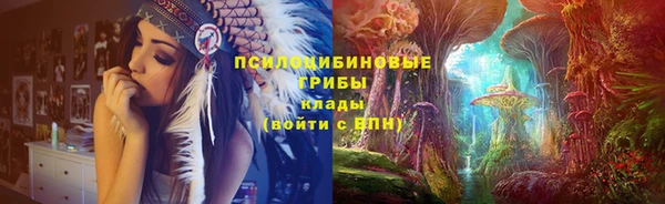 стафф Верхний Тагил