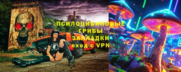 PSILOCYBIN Верхнеуральск