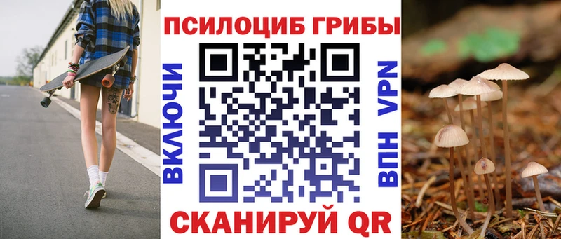 Галлюциногенные грибы Psilocybe  Вышний Волочёк 